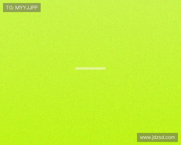 以里尔为核心的法兰德斯文化与历史探寻之旅